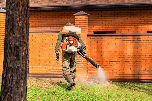 Trusted Cockroach Control service in North Merrick, NY - Nex Pest Control
